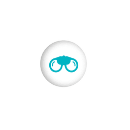 Infográfico de ícone de esfera do Goggle Transparent PNG