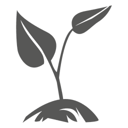 Wachsende Pflanzenikone PNG-Design