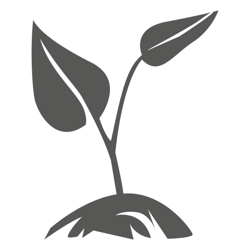 Growing plant icon PNG Design