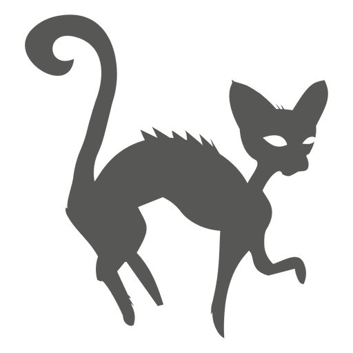 Silueta de gato bruja de halloween Diseño PNG