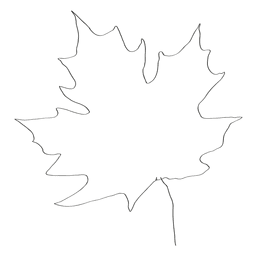 Folhas de bordo desenhada à mão Transparent PNG