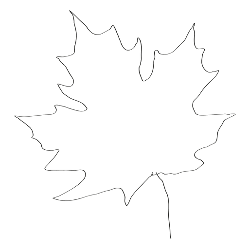 Hand drawn maple leave PNG Design