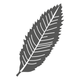 Estilo de línea de hoja lanceolada Diseño PNG