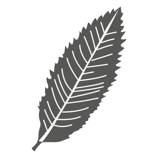 Lanceolate leaf line style PNG Design