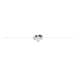 Linha divisória ornamentada floral 3 Desenho PNG