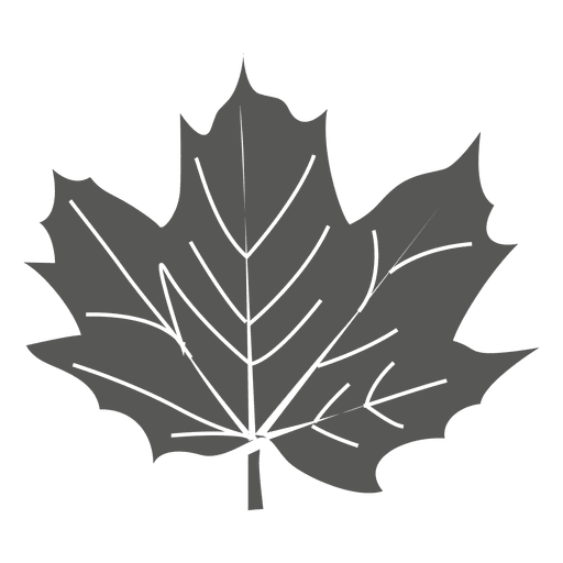 Maple leaf line silhouette PNG Design