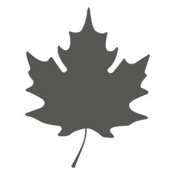 Simple maple leave silhouette PNG Design