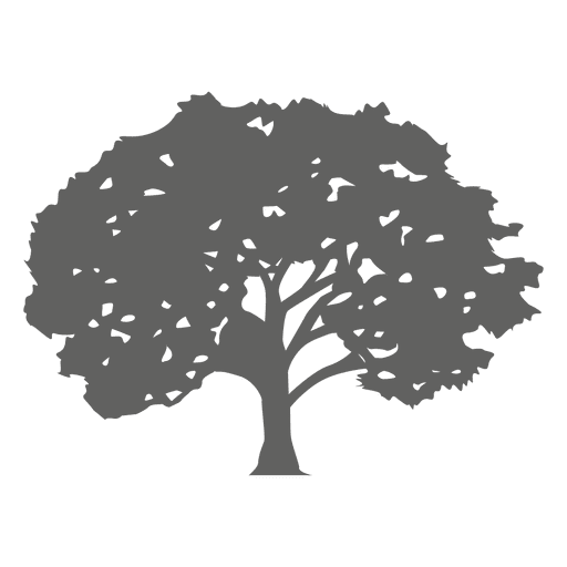 Download Maple tree silhouette 1 - Transparent PNG & SVG vector file