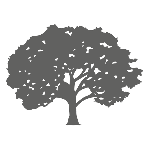 Download Maple Tree Silhouette 1 Transparent Png Svg Vector File