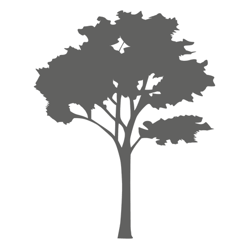Maple tree silhouette 2 - Transparent PNG & SVG vector file