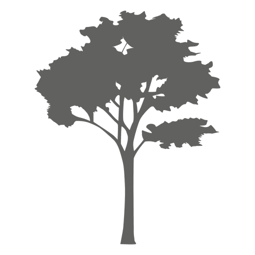 Download Maple Tree Silhouette 2 Transparent Png Svg Vector File