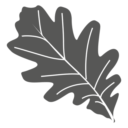 Oak leaf line style - Transparent PNG & SVG vector file