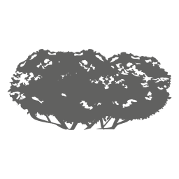 Silhueta de carvalho Desenho PNG