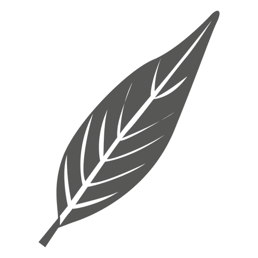 Estilo de linha de folha oblanceolada Desenho PNG