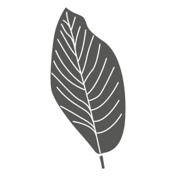 Ovate line sketch leaf Diseño PNG