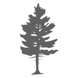 Kiefernschattenbild 2 PNG-Design