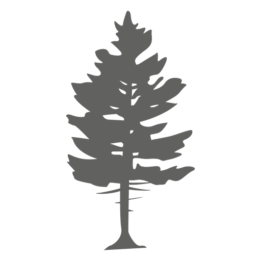 Silhueta de pinheiro 2 Desenho PNG