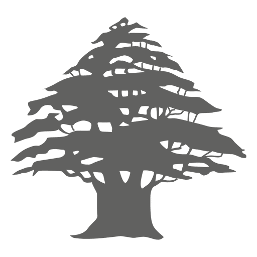 Silhueta de pinheiro 3 Desenho PNG