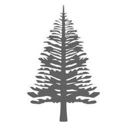 Pine tree silhouette 4 PNG Design Transparent PNG