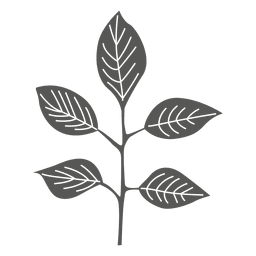 Silueta de línea de hojas pinnadas Diseño PNG