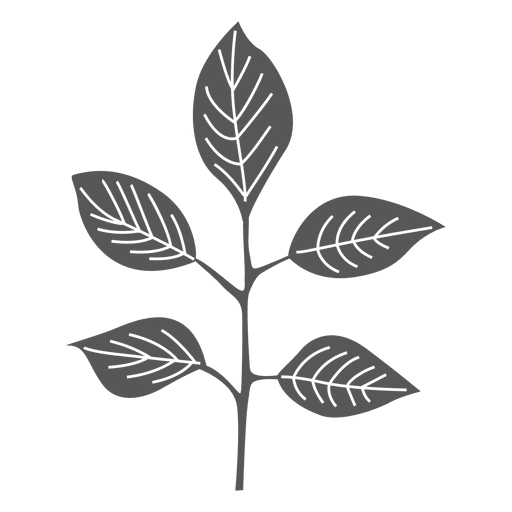 Pinnately leaves line silhouette PNG Design
