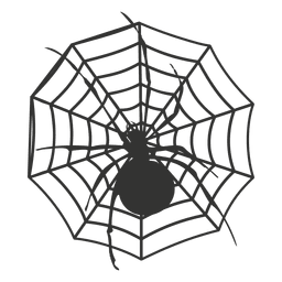 Aranha na teia 4 Desenho PNG
