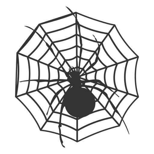 Spinne im Netz 4 PNG-Design