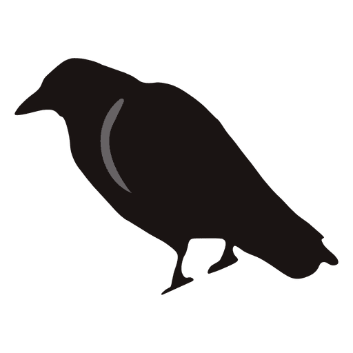 Spooky crow cartoon 1 PNG Design