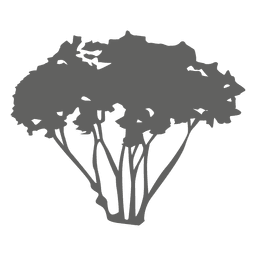 Silhueta da árvore 1 Desenho PNG