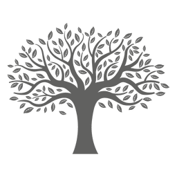 Flat tree silhouette  Transparent PNG