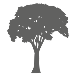 Tree silhouette 13 Transparent PNG