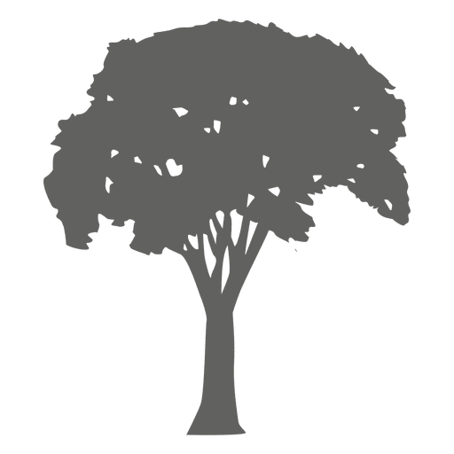 Tree silhouette 13