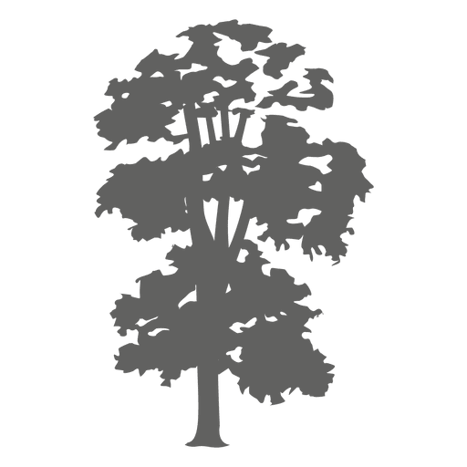 Download Tree silhouette 3 - Transparent PNG & SVG vector file