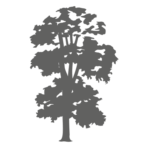 Tree silhouette 3 PNG Design