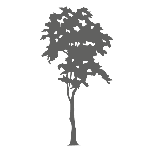 Tree silhouette 4
