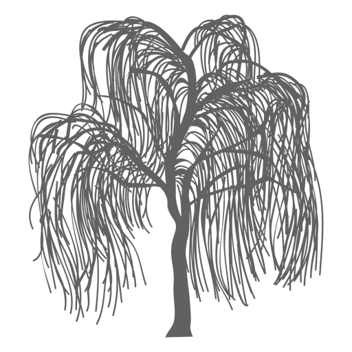 Silhueta da árvore 5 Desenho PNG