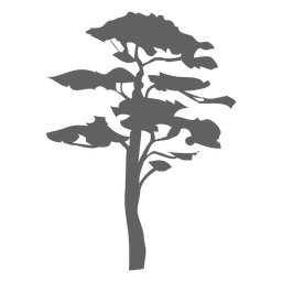 Silhueta da árvore 6 Desenho PNG