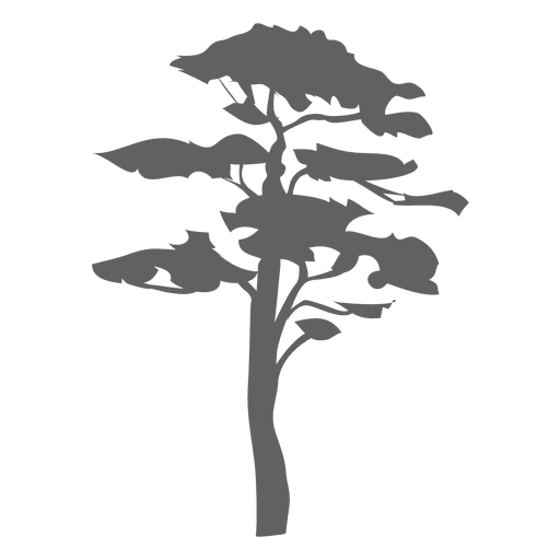 Tree silhouette 6 PNG Design