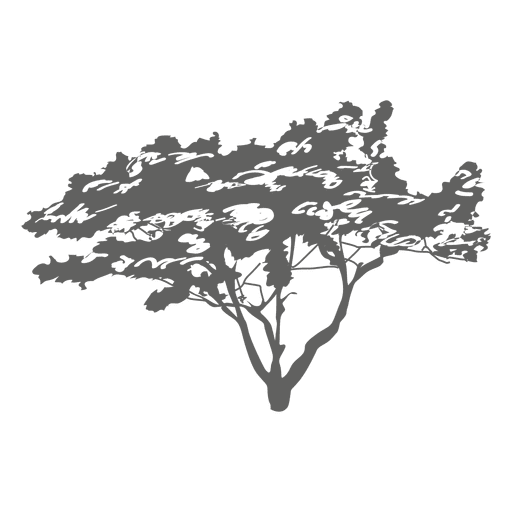 Tree silhouette 7