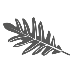 White oak leaf line style PNG Design