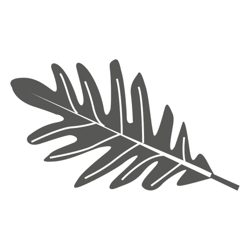 Blattlinienstil der weißen Eiche PNG-Design