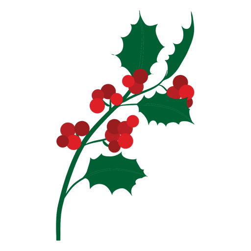 Mistletoe branch icon 15 PNG Design