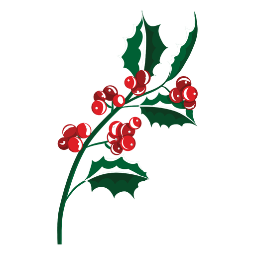 Mistletoe branch icon 23 PNG Design