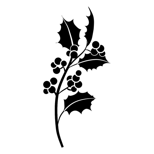 Mistletoe branch silhouette icon 2
