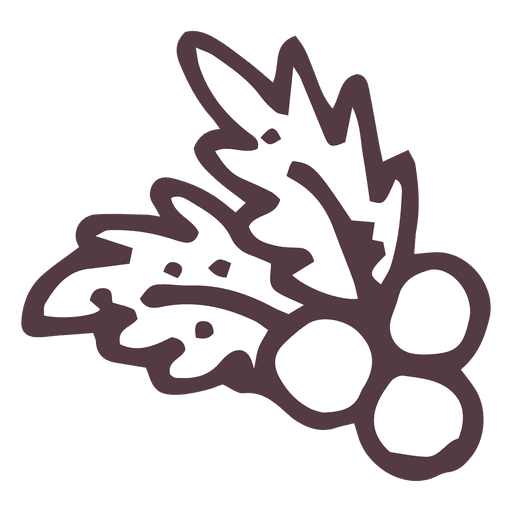 Mistletoe hand drawn icon 32 PNG Design