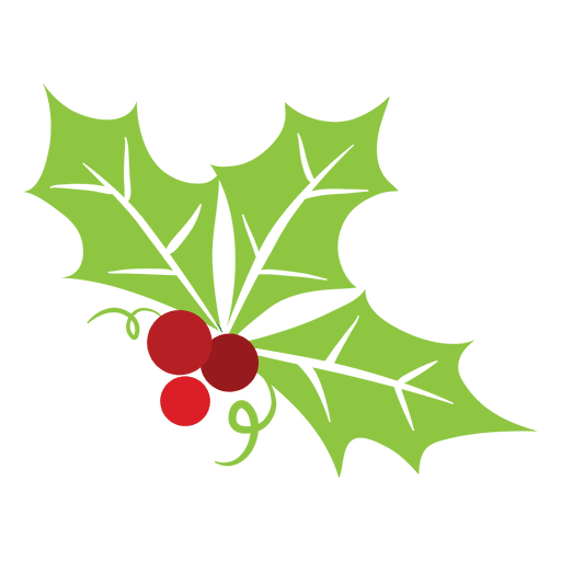 Mistletoe icon 1 PNG Design