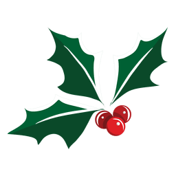 Ícone 13 do visco Desenho PNG