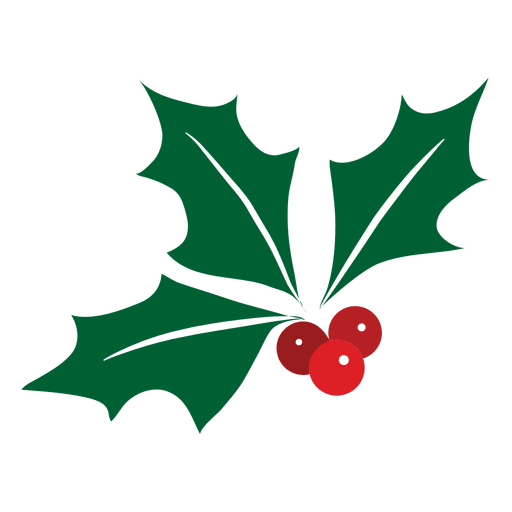 Mistletoe icon 14 PNG Design