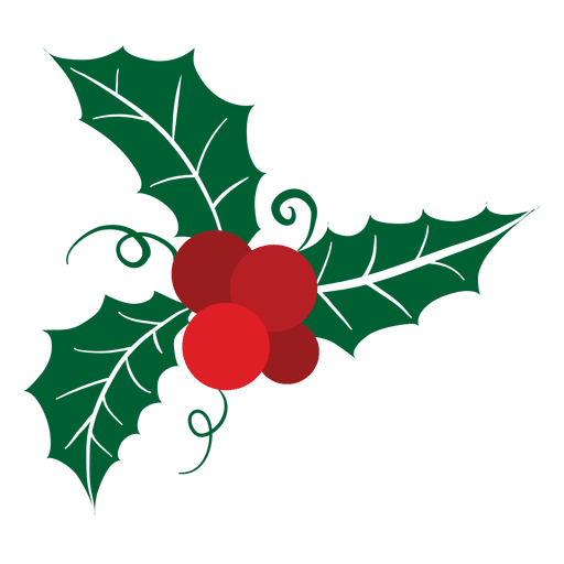 Mistletoe icon 17 PNG Design