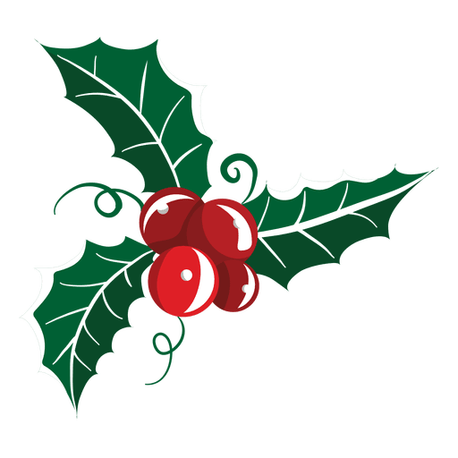 Mistletoe icon 19 PNG Design